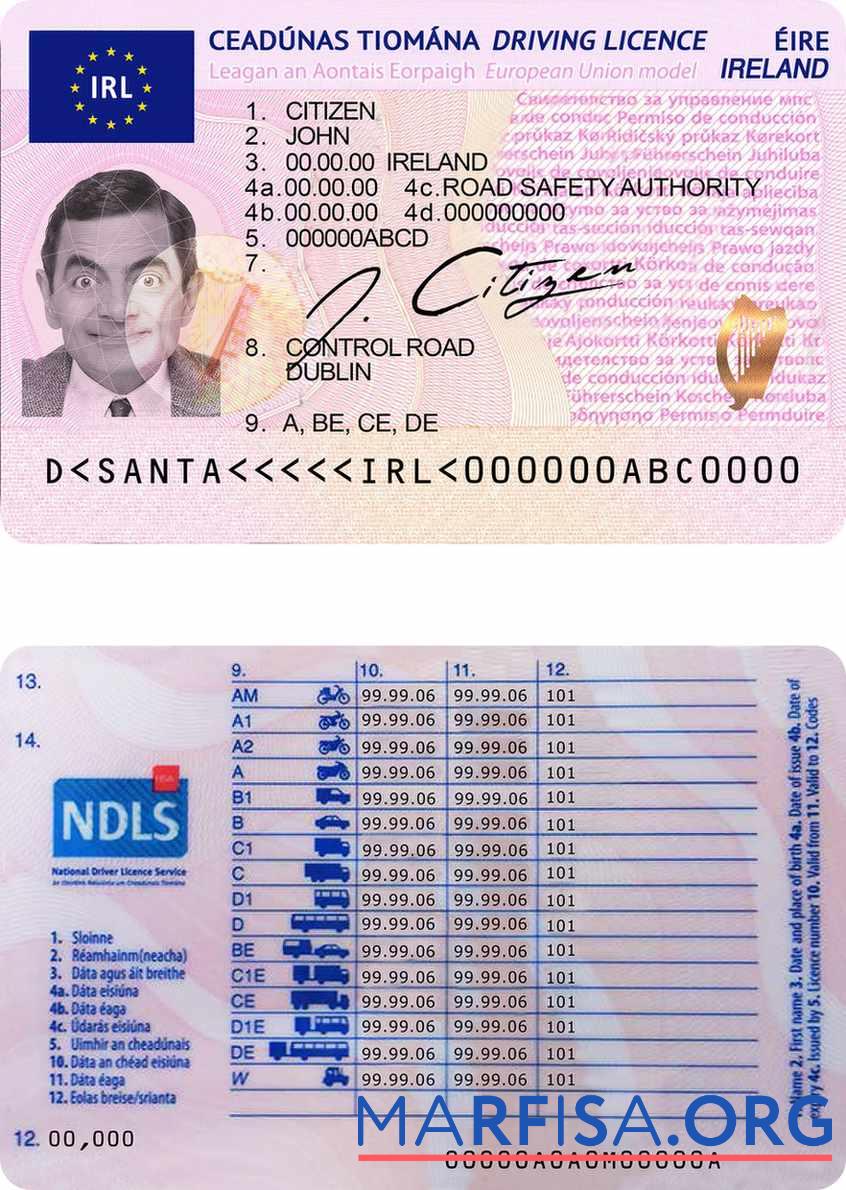 Realistic Ireland driving license download for verification